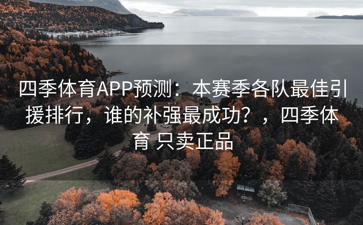 四季体育APP预测：本赛季各队最佳引援排行，谁的补强最成功？，四季体育 只卖正品