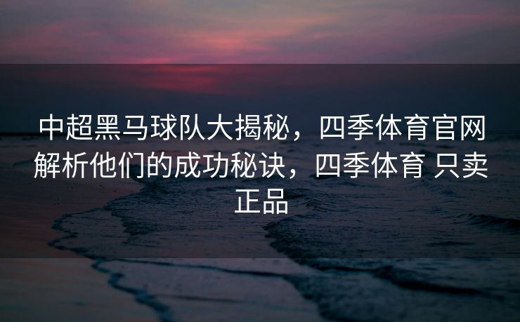 中超黑马球队大揭秘，四季体育官网解析他们的成功秘诀，四季体育 只卖正品